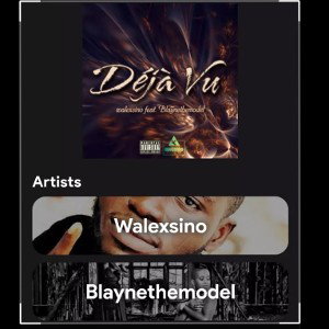 《《Déjà Vu》》 • WALEXSINO ft. B.T.M