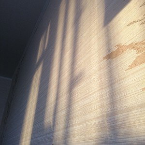 я тебя люблю... шучу абманул!
