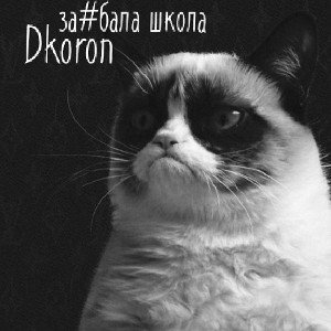 заебала школа