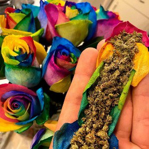 Good Vibes Only 