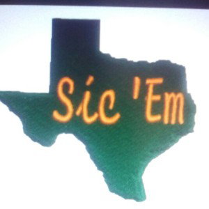 Sic 'em