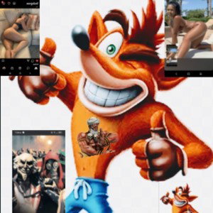 Waxikoot