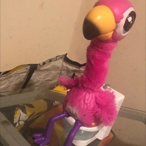 Cluck a luck