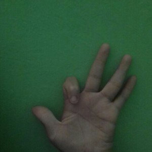 sígueme 