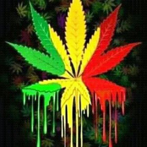 weed 💚
