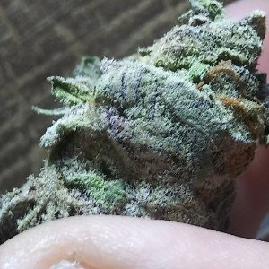 MJ - GET  HIGHER