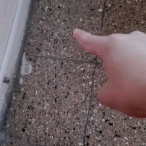 Aqui