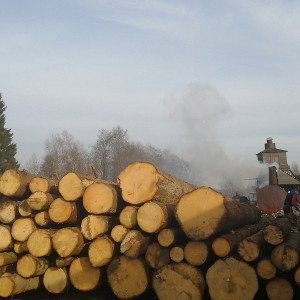 PUFF (15:16)