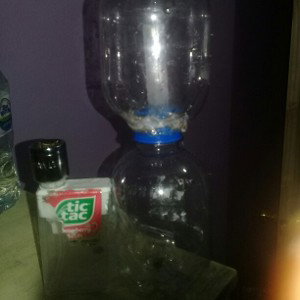 #BONG
