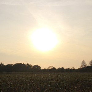 questo Sole