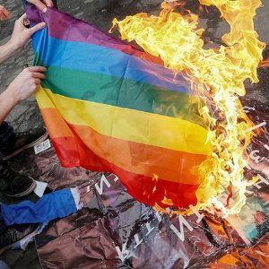 fck lgbtq