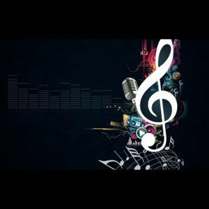 Musical Hobbies (PaRAdoXReCorDsUNdErGrOUND)
