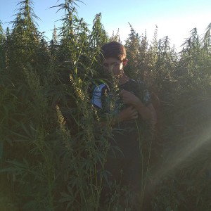 проживу 