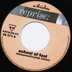 School of fool 
