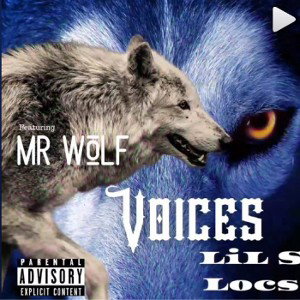 voices-ft-mr-wolf