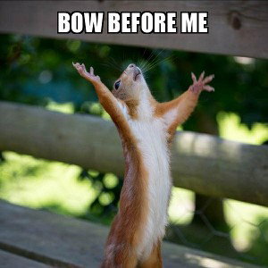  bow before me