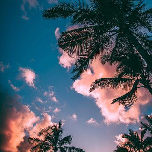 Chrisheezy- Make memories in summer