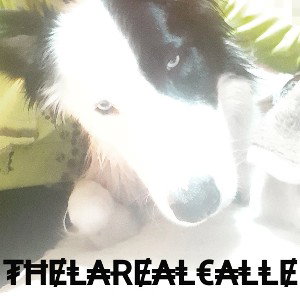 thelarealcalle preciosidades 