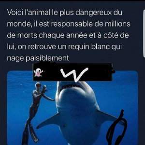 ❤️ménestrel ❤️
