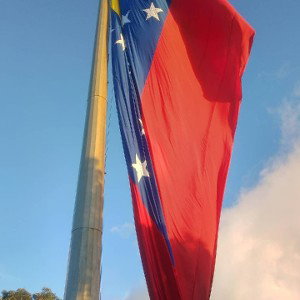yo siempre ando