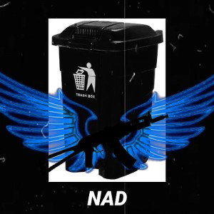 NAD _ Ridiculous