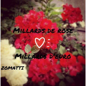 zomatti - millards de rose ,millards deuro