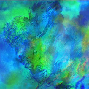 Rookie_L2W - BLau_und_Grün