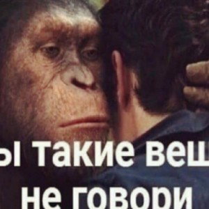 ХLОПЦАМ