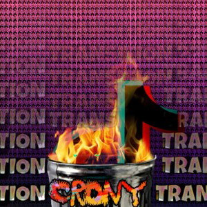 Transition Crony