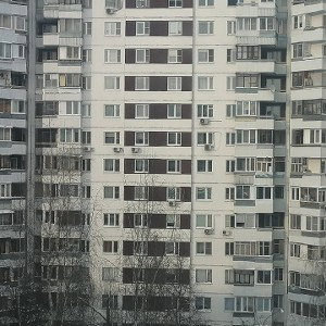 однажды коты порвут крыс