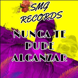 nunca te pude alcanzar