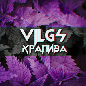 Крапива