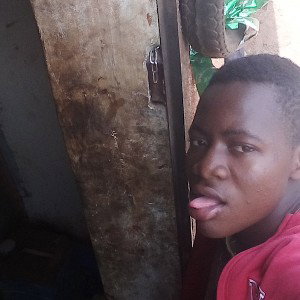 bobo
