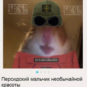 дисс на Кизилова