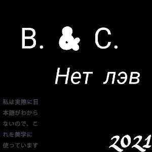                         В. & С. НЕТ ЛЭВ  