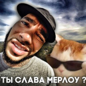 Мемная папка - Полская Корова (prob Ffifor) 