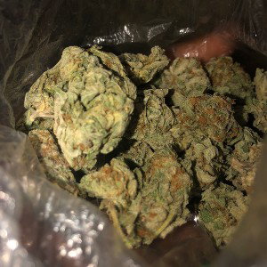 93 petro 
