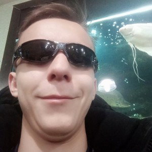Новый Мерин