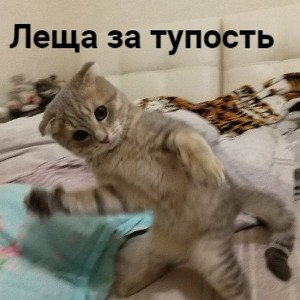 залетаю на бит...