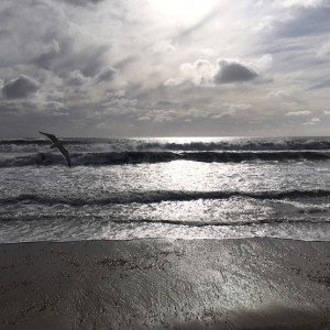Regard sur l’horizon