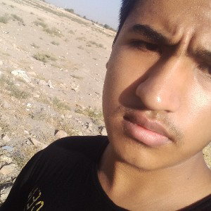 کل کل