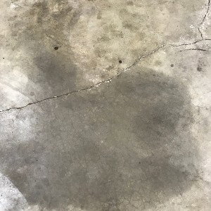 👣