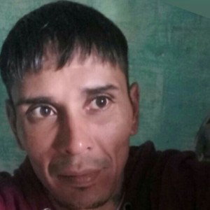 voi a morir en pelea 