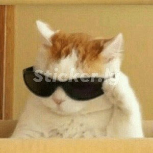 alegria_no_soy_Ya_No_Est_s_Aqu__-_Instrumental_De_Rap_Mariachi_Triste_-_Sad_Beat_-__DH_Beatz_Produce_