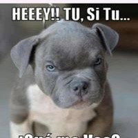 amor y rebeldia