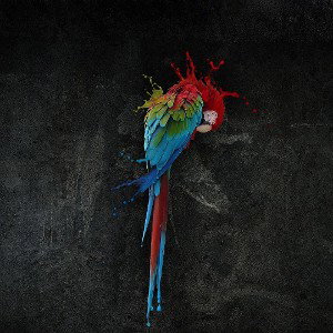 King Koncept & TDG (S Africa) - Paradise Lost
