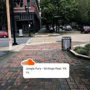 Jungle Fury - StrXnge (Feat. YK)