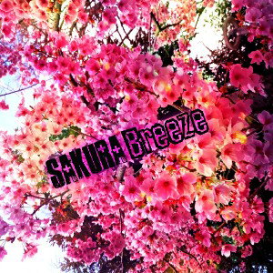SakuraBreeze