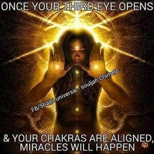 Got It If You Need It