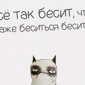 БЕСИТ